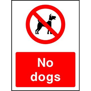 Picture of "No Dogs" Sign