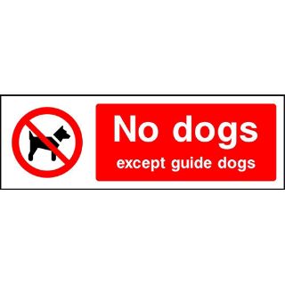 Picture of "No Dogs Except Guide Dogs" Sign 
