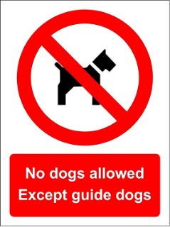 Picture of No dogs allowed Except guide dogs