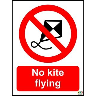 Picture of No Kite Flying Sign