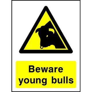 Picture of "Warning Beware Young Bulls" Sign