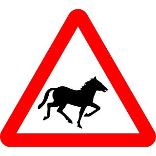 Picture of "Warning- Horses" Sign 