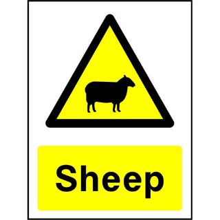 Picture of "Warning Sheep" Sign