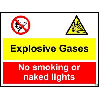 Picture of Explosive Gases No Smoking No Naked Lights Flammable Liquids Safety Sign