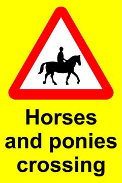 KPCM | Equine Signs