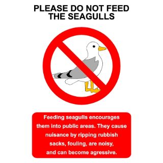 Do Not Feed Seagulls They Become Noisy and Aggressive Sign, KPCM Health and Safety Sign