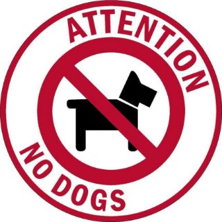 Picture of Attention. No dogs. Floor sticker with red border - Self adhesive floor graphic (600mm x 600mm)