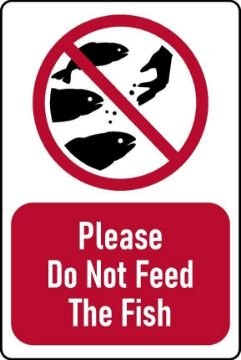 Picture of Please do not feed the fish Sign - 3mm Aluminium sign (400mm x 300mm)